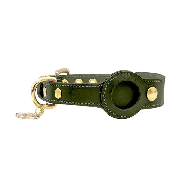 AC55-Green