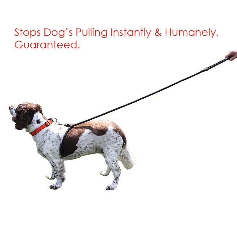 “The Lead Easy” Anti Pulling Dog Lead - out of stock