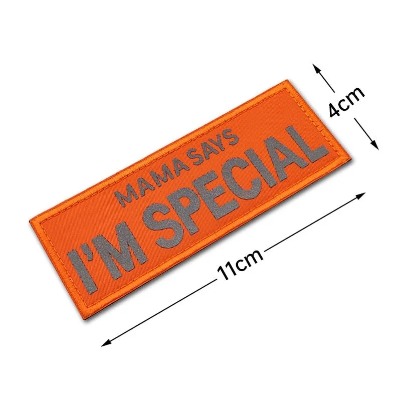 Anniepaw Patches Badge for Dog Harness