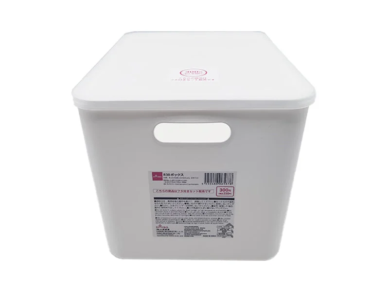 R30 Box-1.19ftx10.23inx9.44in-36.5cmx26cmx24cm-White-