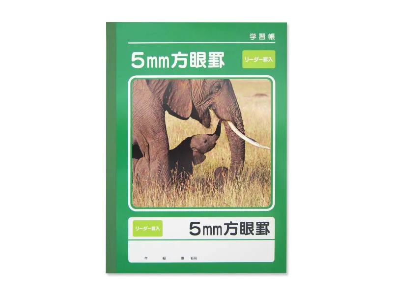 Workbook -5mm Grid - 0.19in - 40 Sheets-