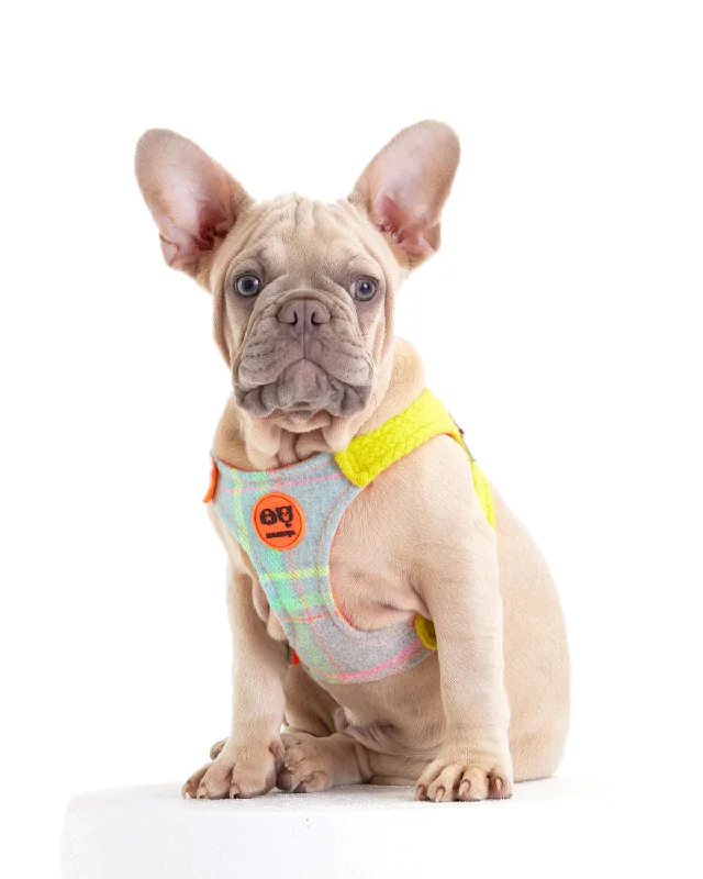 Tartan Dog Harness
