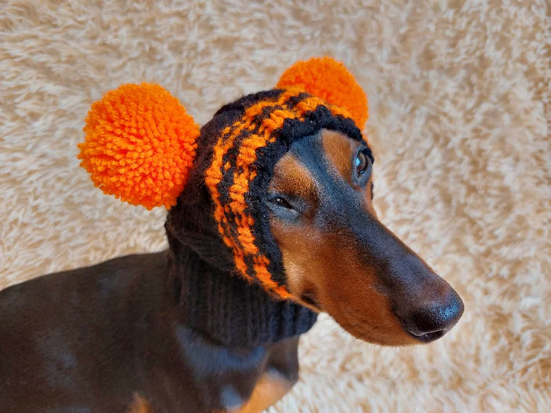 Clothing for miniature dachshund or small dog hat with two pompons