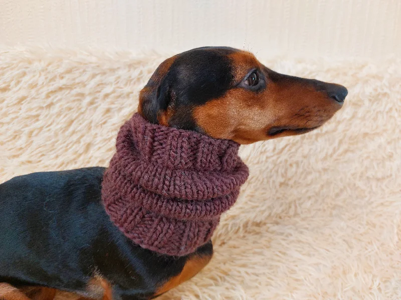 Handmade Wool Snood Warm Winter Knitted Dog Hat Warm Ears Dachshund Snood Hat