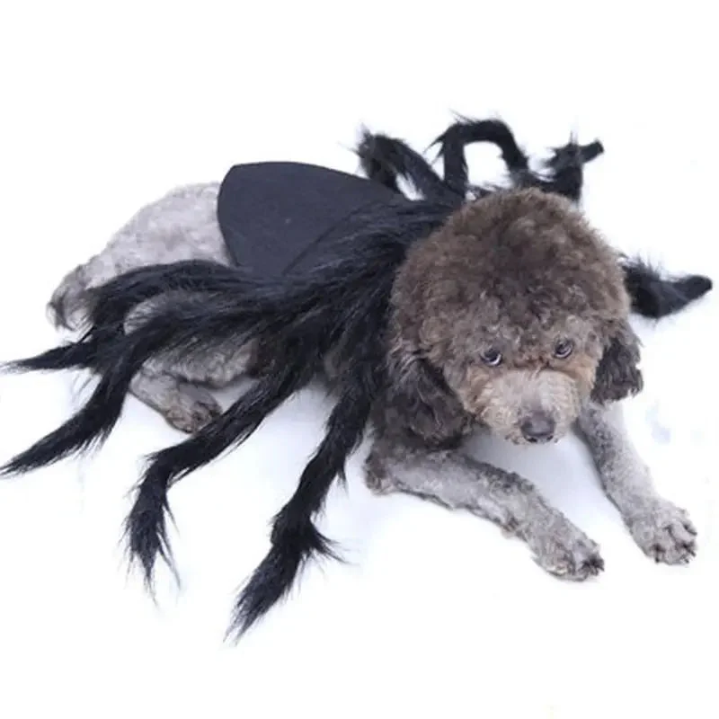 Anniepaw Halloween Pet Dog Cat Spider Clothes Puppy Cosplay Costume for Dogs Cats Party Cosplay Funny Outfit Anniepaw Halloween Pet Dog Cat Spider Clothes Puppy Cosplay Costume for Dogs Cats Party Cosplay Funny Outfit