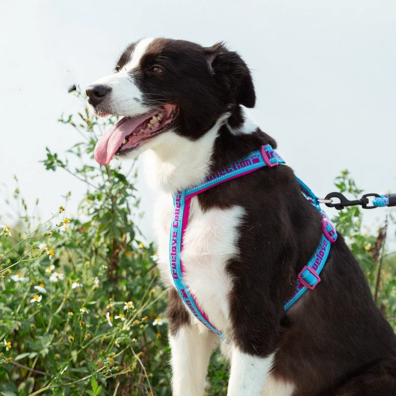 Dog Harness Reflective No Pull Tactical Military Training Design Neoprene Padded Comfort Mesh Adjustable Dog Harness Reflective No Pull Tactical Military Training Design Neoprene Padded Comfort Mesh Adjustable
