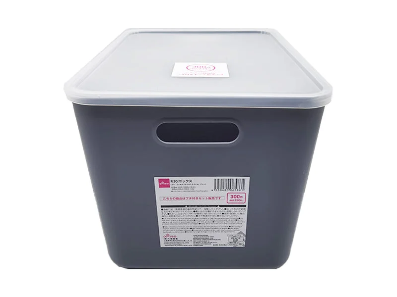 R30 Box-1.19ftx10.23inx9.44in-36.5cmx26cmx24cm-Gray-