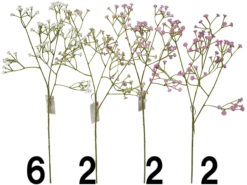 Gypsophila (Nudie)