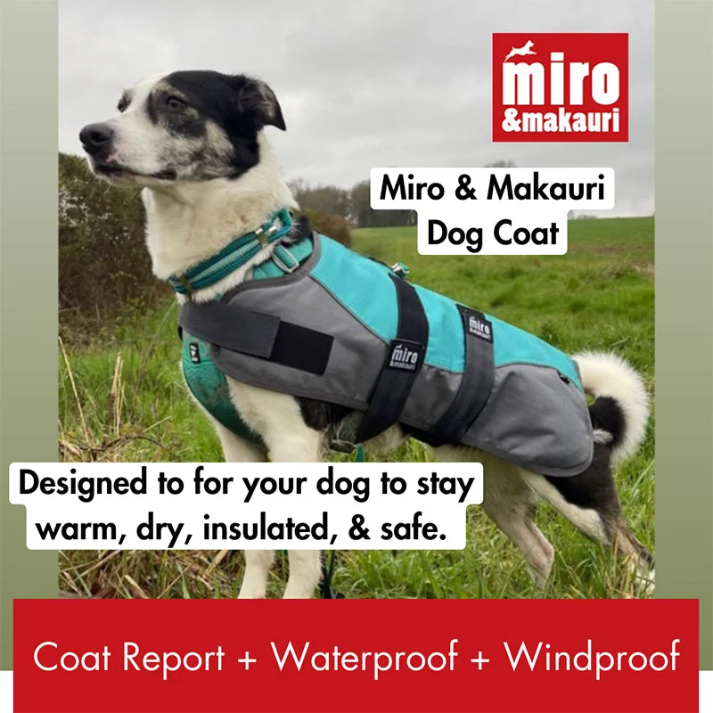 Miro & Makauri Winter Dog Coat "Teal & Grey"