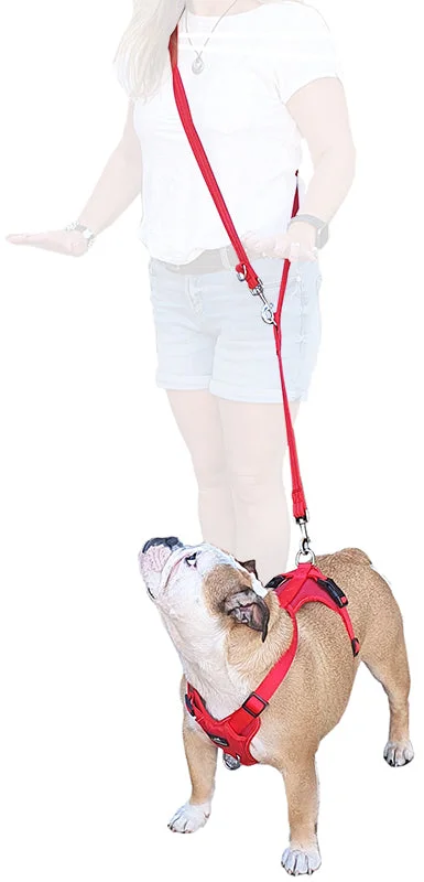 Training Dog Lead - the Miro & Makauri '3 point' Double-Ended Lead