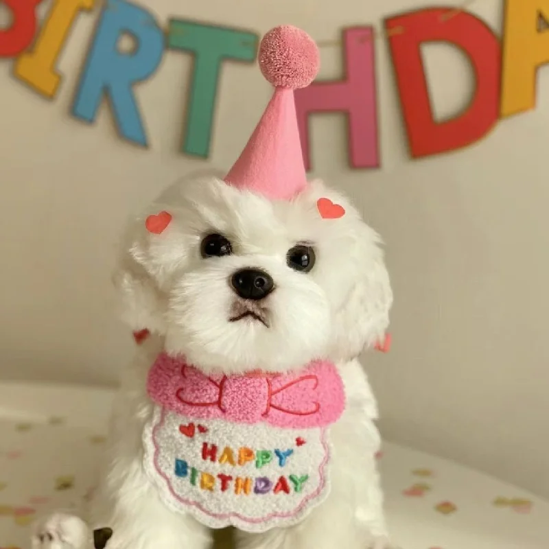 Anniepaw Dogs Birthday Caps and Scarf Dress Up Hat Bib Cat Towel Photography Props Pet Costume Gift Anniepaw Dogs Birthday Caps and Scarf Dress Up Hat Bib Cat Towel Photography Props Pet Costume Gift